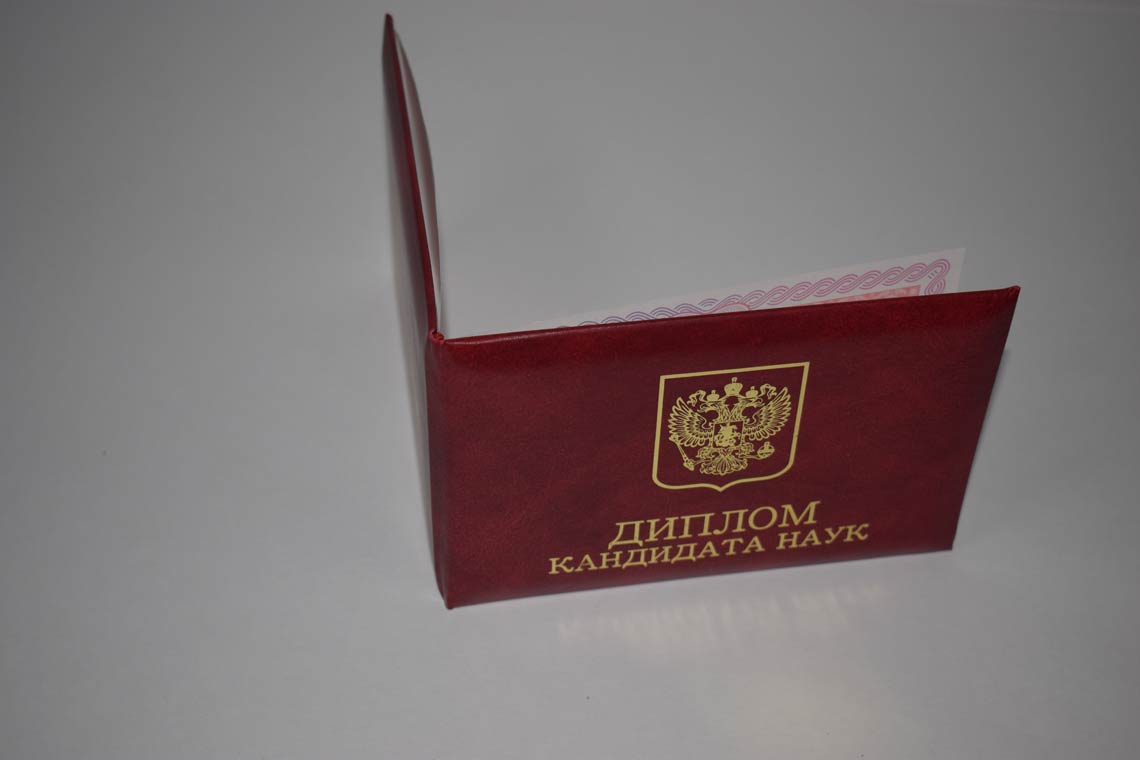 Диплом Кандидата Наук 2013-2016 в Октябрьском корка