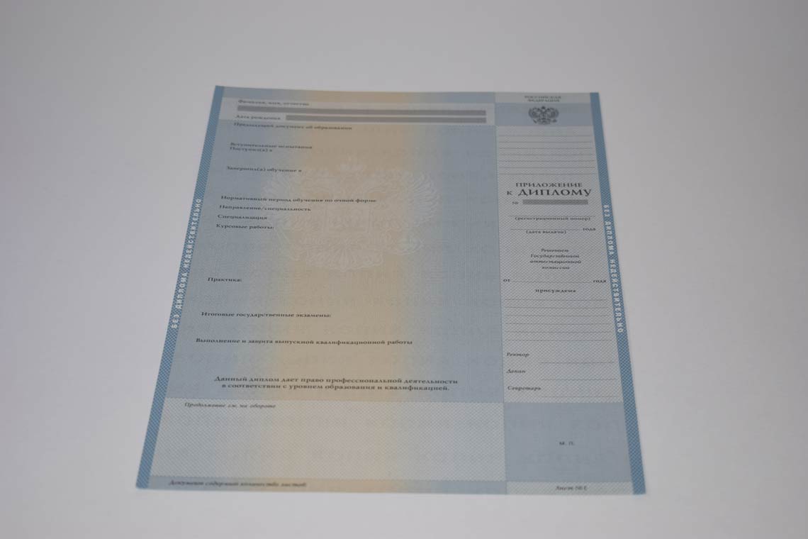 Диплом Магистра с 2003-2008 в Октябрьском приложение